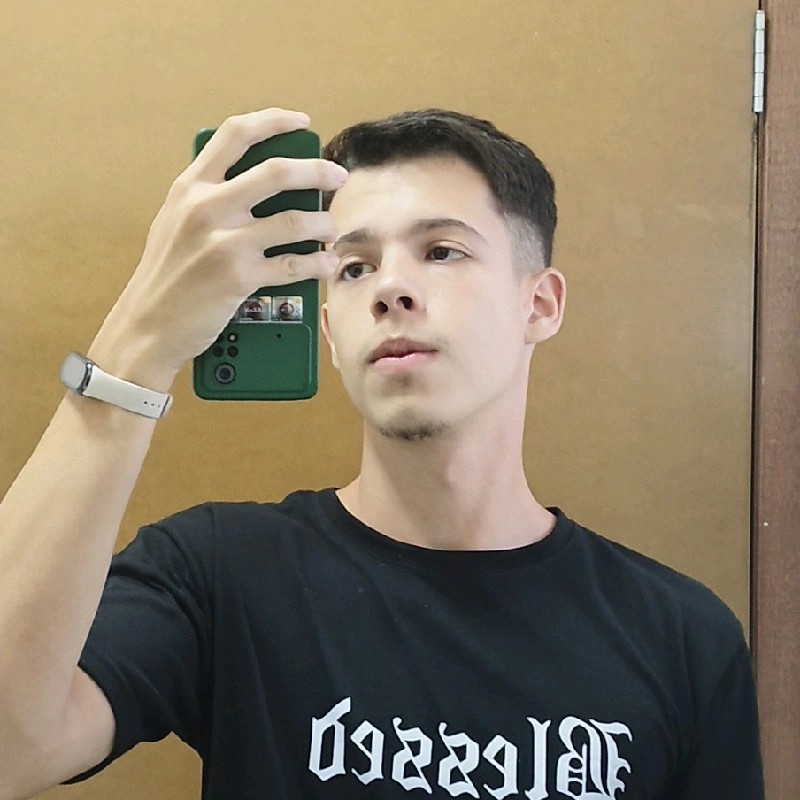 Uma esbelta foto de mim mesmo
